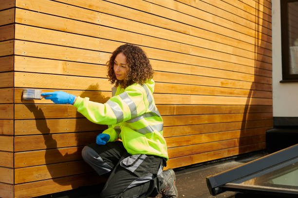 Best Stone Veneer Siding  in Su Oswego, NY